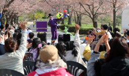 벚꽃 설레고, 버스킹 즐기고