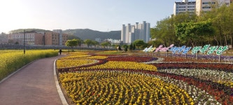 치유 명소가 된 남천 둔치 꽃 화단