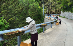 울릉도 화합·단결로 발전하는 학포…미항(美港)을 보유한 작은 마을