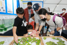 예천서 활 쏘고, 곤충 보고… 경북 곳곳 5월 축제의 장