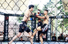 울진 파이팅 종합격투기 13·14일 군민체육관 후끈