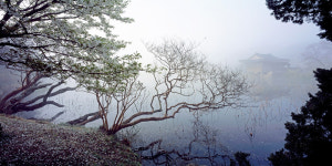 작가 8명이 렌즈에 담은 경주 남산