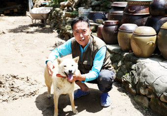 산사태로 실종된 '진순이'27시간 만에 집 찾아왔다