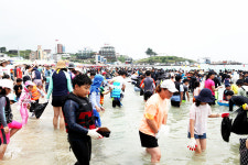 구룡포 가면 펄떡펄떡 산 오징어 맨손으로