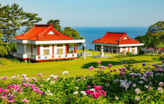 울릉도 금강원 대규모 성지 조성…대한불교진각종 성역화 불사 봉해