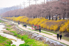 영주시 원당천 산책로 특별교부금 13억 확보
