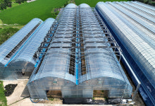 태양광 발전·농작물 재배를 한번에