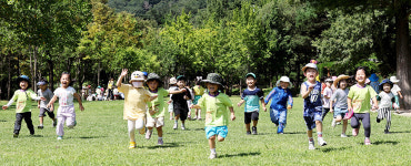 새싹들도 가을 속으로