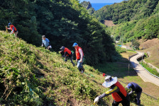 주식회사 울릉산림유통 | 울릉도 맞춤형 봉사로 이웃사랑 실천…채취 적기 맞춰 농촌일손돕기