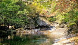 단풍 물든 지리산 피아골