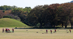 경주 인왕동 고분군 잔디 정리
