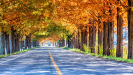 섬진강 품은 곡성, 시선 머무는 곳마다 감성을 적신다