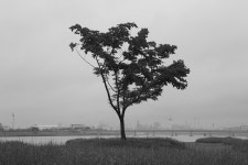 마음에 흐르는 강, 형산강을 보다