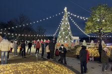 대구 남구 앞산빨래터공원 대형 트리 불 밝혀