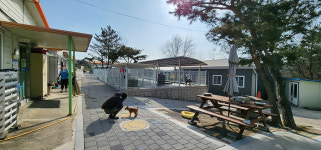 포항 숲강아지서 새로운 가족을 만나보세요
