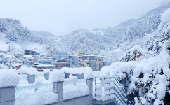 울릉도는 하얀 알프스 폭설(雪)에 묻혀…4일간 누적적설 53.4cm 기록