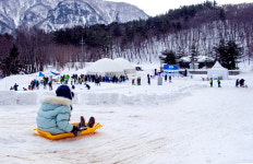 경북도민 울릉도 눈 축제가자…울릉크루즈여행 6만원 딱 하루