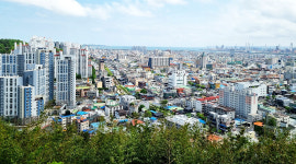 울창한 소나무숲 거닐며 피톤치드 샤워, 건강은 기본 힐링까지