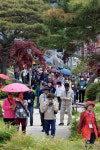 도심관광 명소된 포항 철길숲