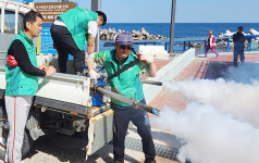 울릉도 천부 세균없는 깨끗한 마을…북면새마을지도자들 방역 솔선수범