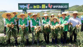 경북도 농업대전환 공동영농 성과보고회 개최
