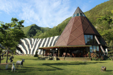 테마별 박물관 20여곳 입맛대로