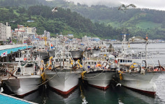 울릉도 기상특보 발효 여객선 파행운행…근해 오징어조업 어선 등 저동항 피항