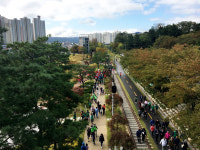 송도 솔밭 도시숲·포항 철길숲 아름다운 도시숲 50선에
