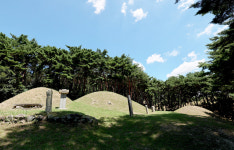 솔개가 멈춘 산에 자리잡고 나라를 도와 神異한 일을 일으켰다