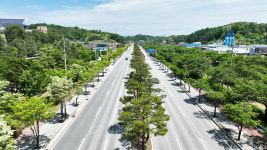 김천 조각공원 가로수길·영주 서원로 가로수길 우수