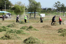 형산강변 체육공원 잡초 제거