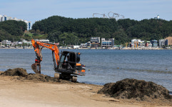 해변 해초더미 청소 구슬땀