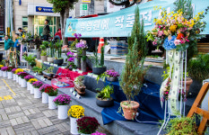 울릉도에서 아름다운 반려식물을 이용한 힐링원예 작품 전시회