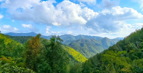 자작나무 숲 길 위에서 인생 여정의 교훈과 위안을 얻다