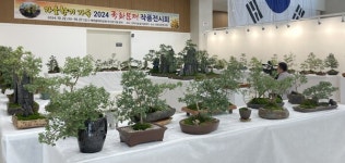 구미시, 국화 전시회 개최
