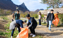 울릉도 생명의 숲길 등 쾌적한 가을 길…울릉군청직원 깨끗한 울릉도 만들기
