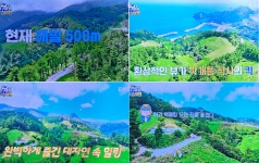 울릉도 내 한국 마추픽추… 지구마불 우승여행 서 히든 스폿 소개