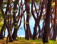 백성의 힘으로 이룬 치산치수 신의 한 수가 되다