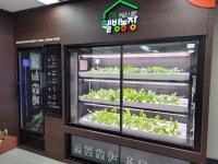 일본에서 대구 인동촌 스마트 웰빙농장 방문…선진사례