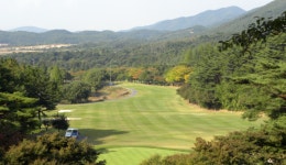 경주신라CC 방부목·석재 빼돌리고… 6만원 부킹 예우도
