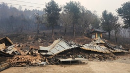산불로 주지 스님도 희생…영양군 석보면 법성사 선정 스님  "