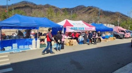 청송군 산불 사망 4명, 산림 9320ha 및 주택 625동 소실