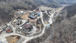 우예 살라꼬… 영덕 최대 송이 주산지 만신창이