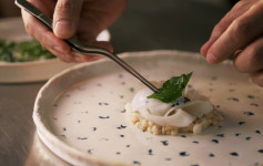 울릉도 꼭 가봐야 할 새로운 이유 빌라쏘메···세계최고의 리조트 코스모스 울릉 또 하나 오픈