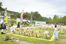 ‘모전들소리’, 문경새재 관광객 사로잡아