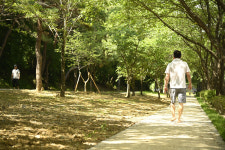 달성 구지면에 맨발산책로 3곳 개장