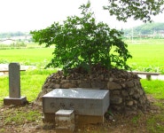 늦둥이 어린 자식 데리고 오백 년 긴 세월 주민과 동고동락