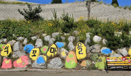 울릉도 ‘동네방네 마을 공감클래스’ 첫 행사 성료