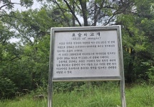 칠곡 ‘요술고개’ 찾은 야생 토끼 도깨비 도로 마스코트 자리매김