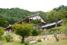 ‘물처럼 바람처럼’ 오랜 아픔과 고요를 모두 안고 서있는 나무